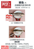 0201鲫鱼（大）去鳞鳃内脏净料率.jpg
